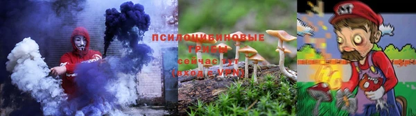 герыч Алексин