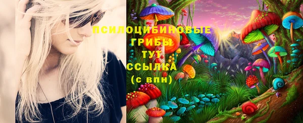 тгк Алексеевка