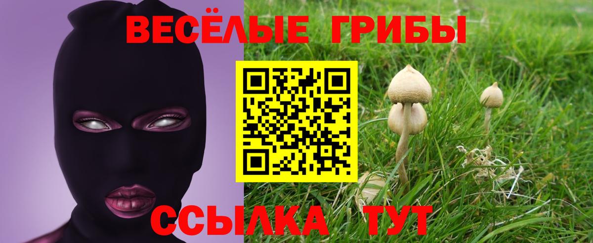 Галлюциногенные грибы GOLDEN TEACHER Звенигород