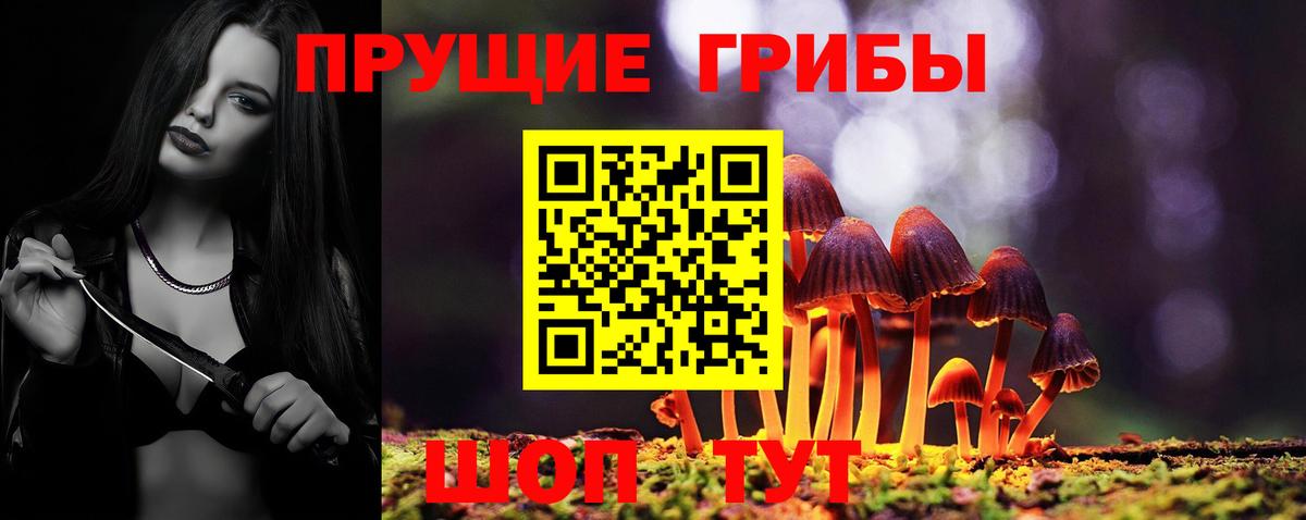 Галлюциногенные грибы Psilocybe  Вход с VPN  Псилоцибиновые грибы Psilocybe  Звенигород 
